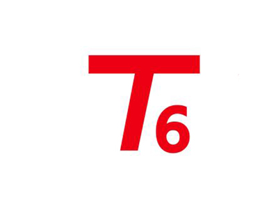 T6
